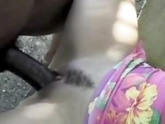 Hot interracial flv xxx movies